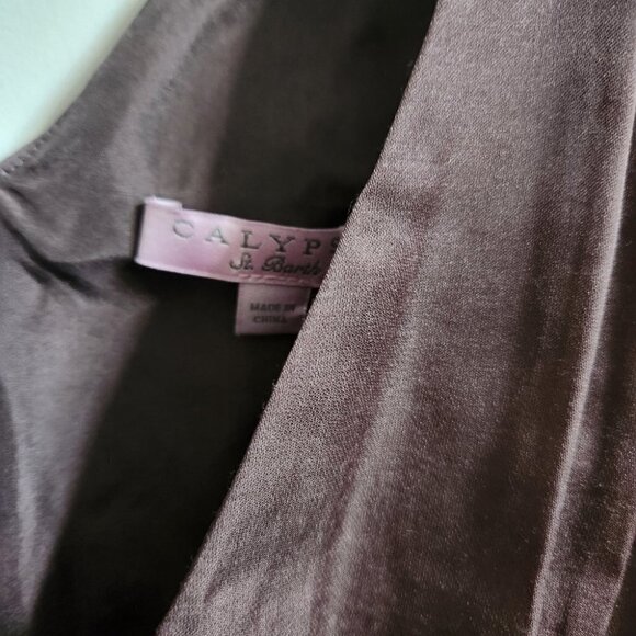 CALYPSO ST. BARTH | Silk dress v-neck smocked brown sz S - Picture 3 of 6